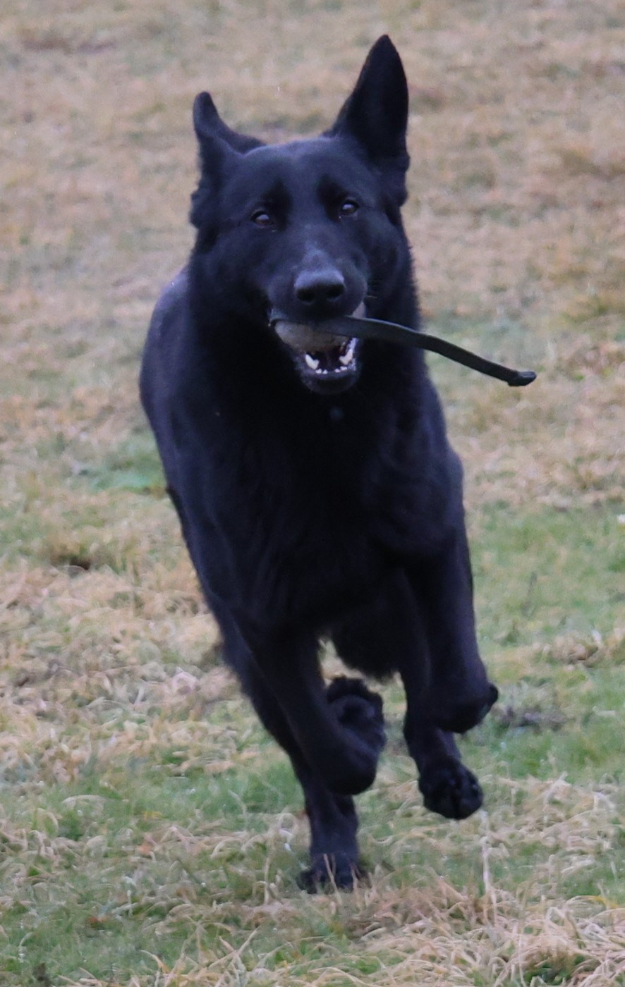 Vicky Du domaine saint loup