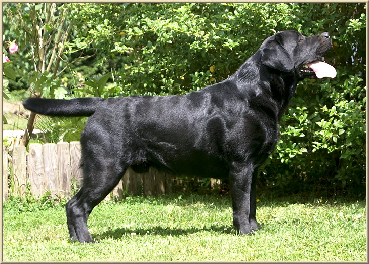 Publication : De L'Etang Balancet