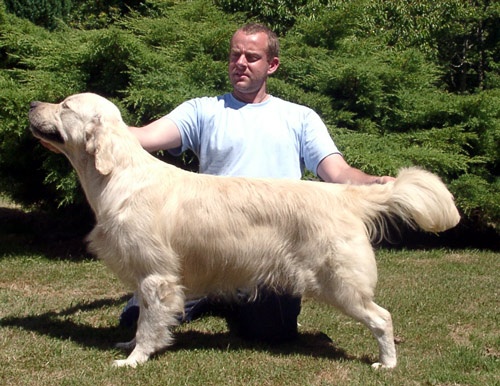 A'brisa du Domaine des Rives de l'Erdre - Très prometteur