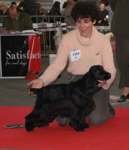 Diamant de la petite pinochere - Très Prometteur