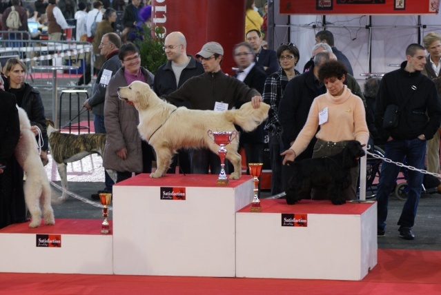 Diamant de la petite pinochere - RCAC 1er Excellent Classe Ouverte