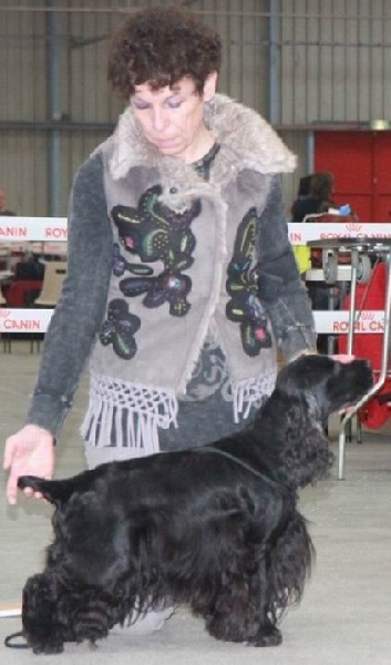 Diamant de la petite pinochere - CAC-CACIB MEILLEUR DE RACE, 2e du 8e Groupe