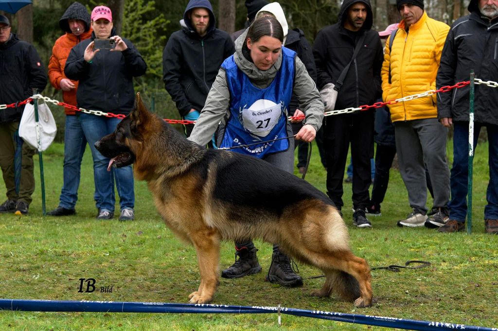 Taco Du Chemin D'Eden