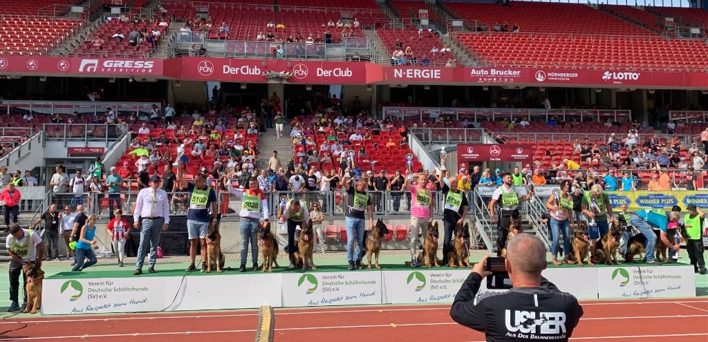 Taco Du Chemin D'Eden