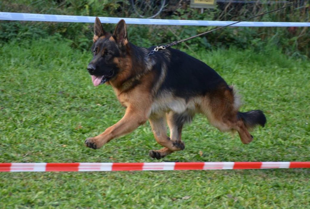 Taco Du Chemin D'Eden