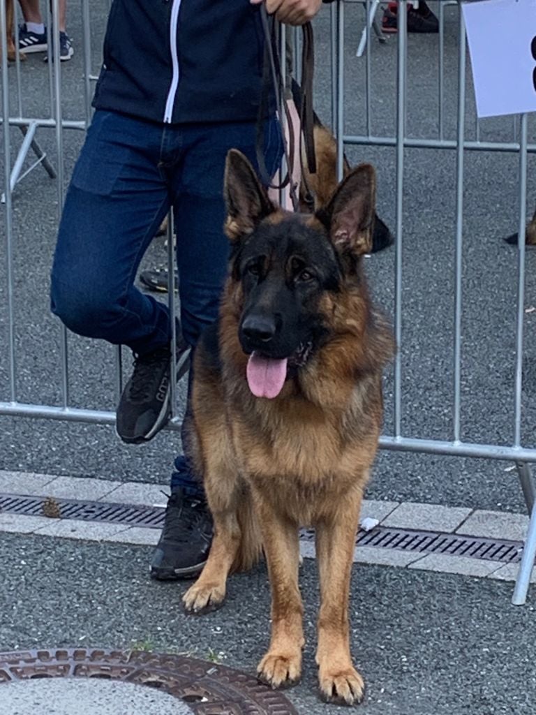 Taco Du Chemin D'Eden