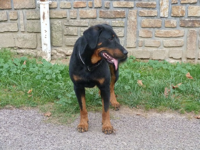 Publication : du moulin des dieux