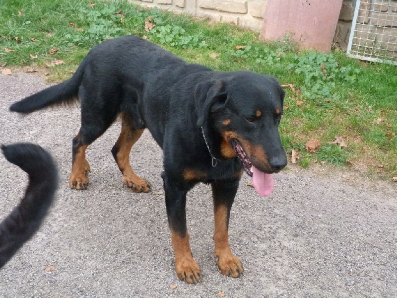 Publication : du moulin des dieux