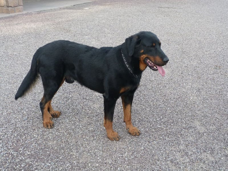 Publication : du moulin des dieux