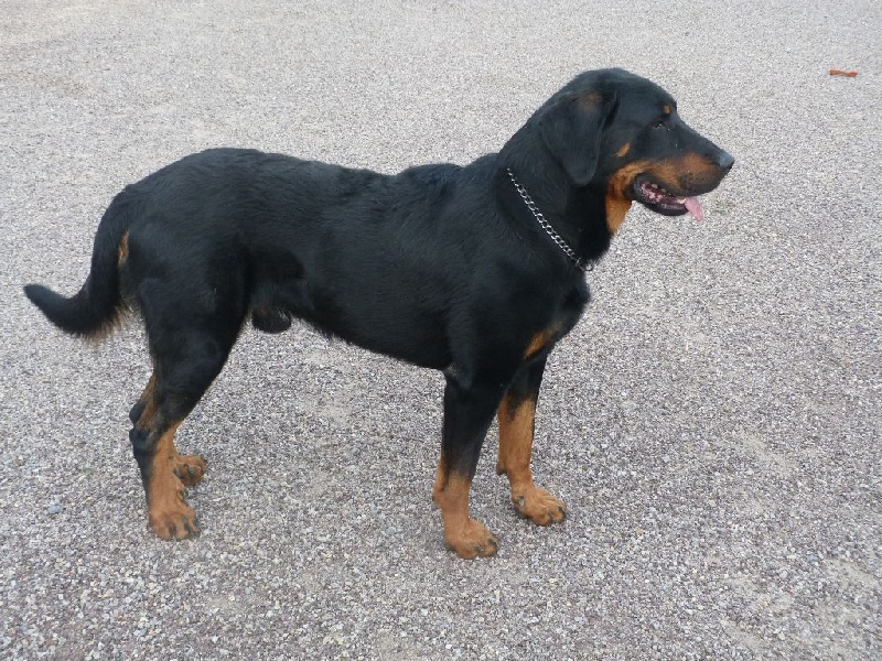 Publication : du moulin des dieux