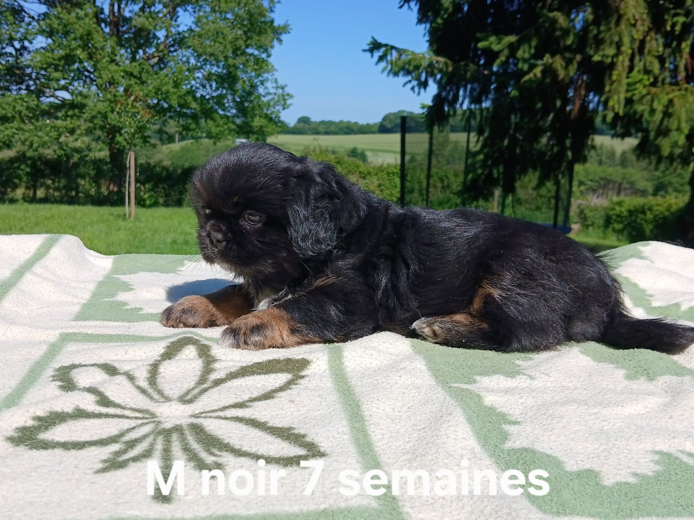 BOOBA cordon noir