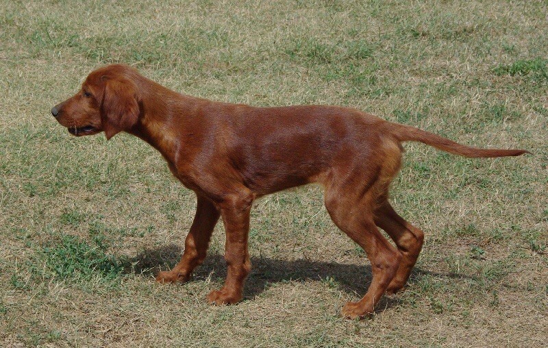 Publication : du Gourg D'Enfer Auteur : Anthony SUSSET