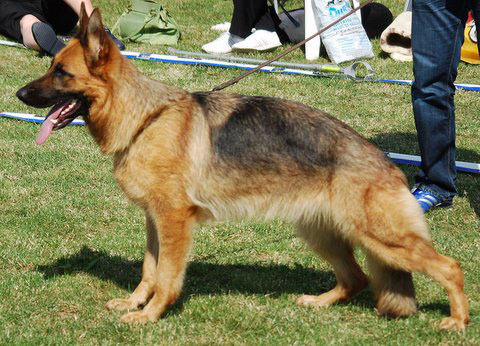 Publication : du val d'Anzin