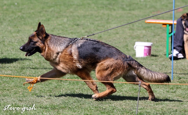 Publication : du val d'Anzin