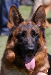 Publication : du val d'Anzin