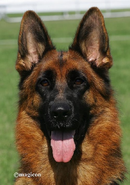 Publication : du val d'Anzin Auteur : trentenaere