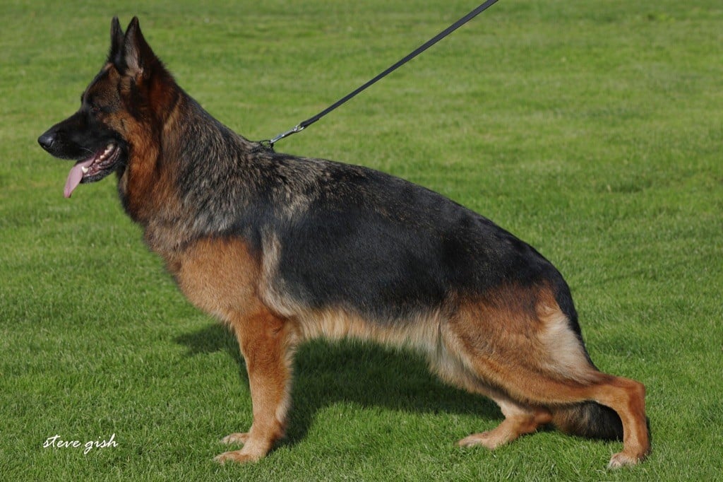 Ouna du val d'Anzin - VA1 Classe travail