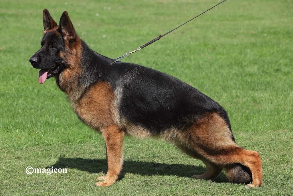 Pacao du val d'Anzin - 3ieme Auslese