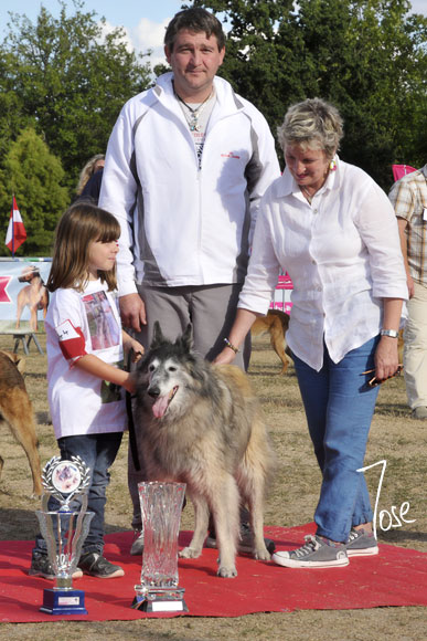 Mister kazan de la Croix Aux Chevaux