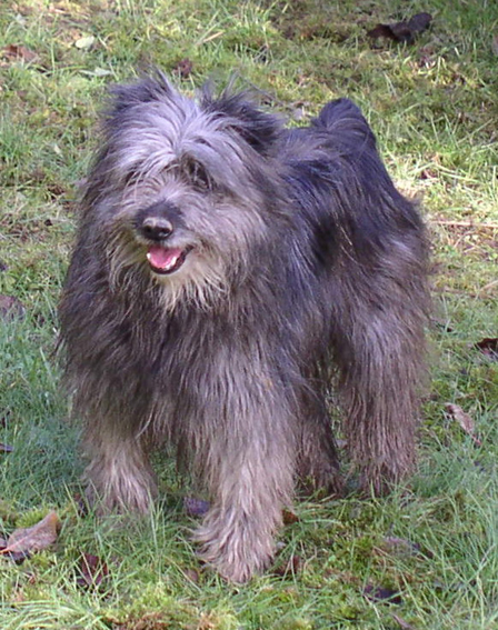 Railhere (Sans Affixe)