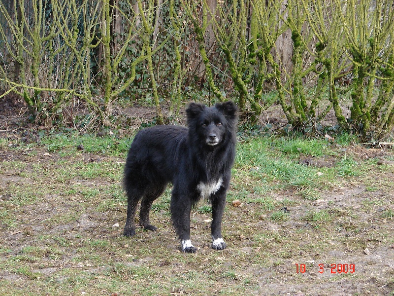 Publication : de la Rosselle