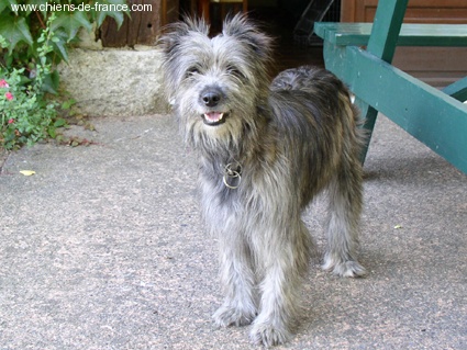 Railhere (Sans Affixe)