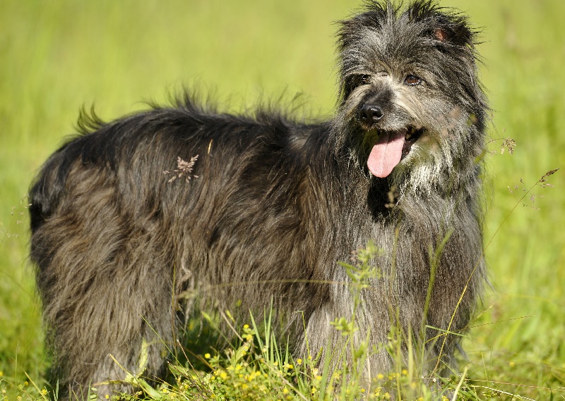 Railhere (Sans Affixe)