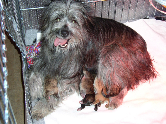 Railhere (Sans Affixe)