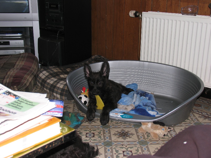 Cassiopee de la vallée de Creve Coeur