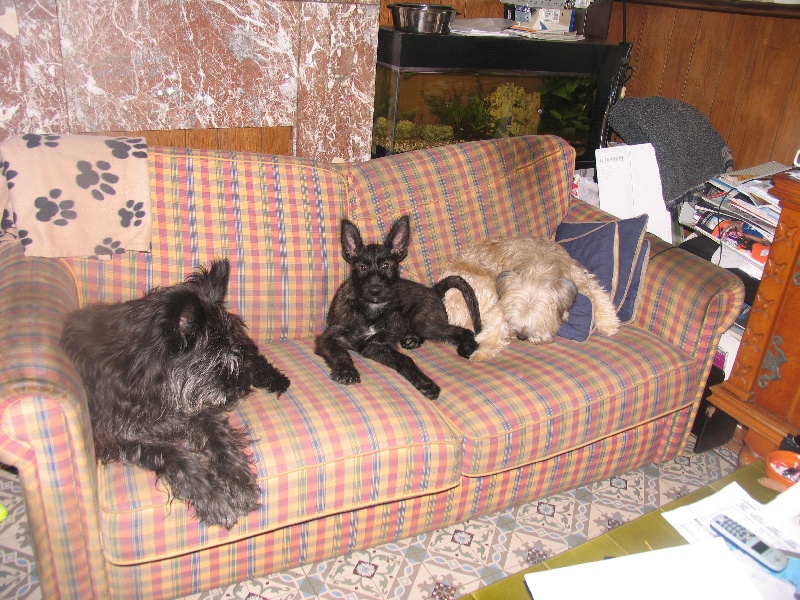 Cassiopee de la vallée de Creve Coeur