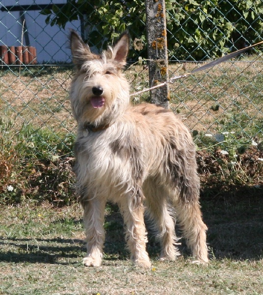 Dana de la vallée de Creve Coeur