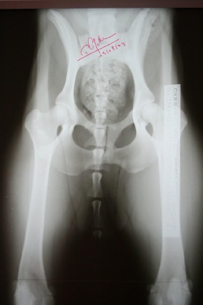 Dana de la vallée de Creve Coeur