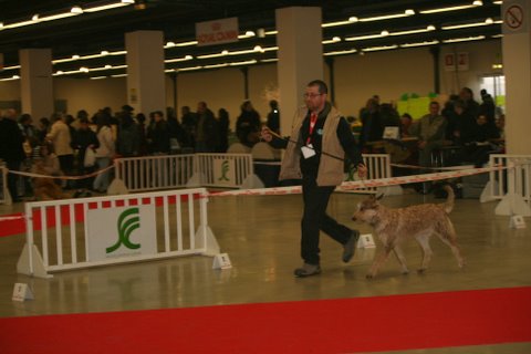 Dana de la vallée de Creve Coeur