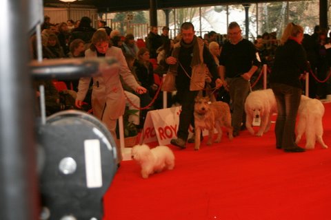 Dana de la vallée de Creve Coeur