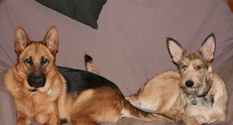 Dana de la vallée de Creve Coeur