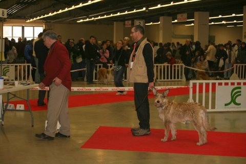 Dana de la vallée de Creve Coeur