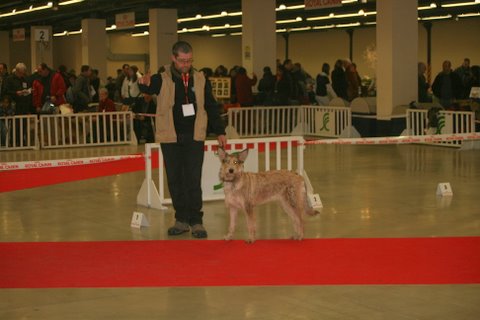 Dana de la vallée de Creve Coeur