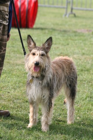 Dana de la vallée de Creve Coeur