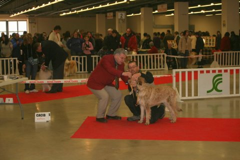 Dana de la vallée de Creve Coeur