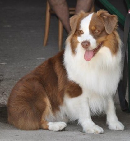 Publication : Du Crystal De Lune Auteur : Séverine Vila