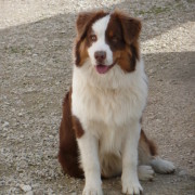 Publication : Du Crystal De Lune Auteur : Séverine Vila