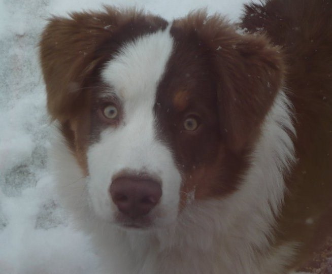 Publication : Du Crystal De Lune Auteur : Séverine Vila