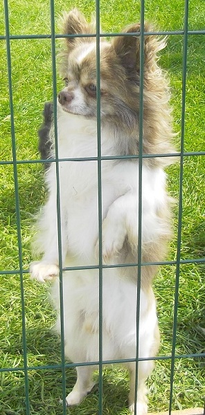 Publication : Du Domaine De Mrs. Grey Auteur : DU DOMAINE DE MRS. GREY