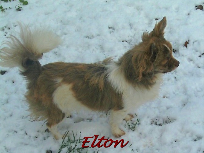 Publication : Du Domaine De Mrs. Grey Auteur : DU DOMAINE DE MRS. GREY