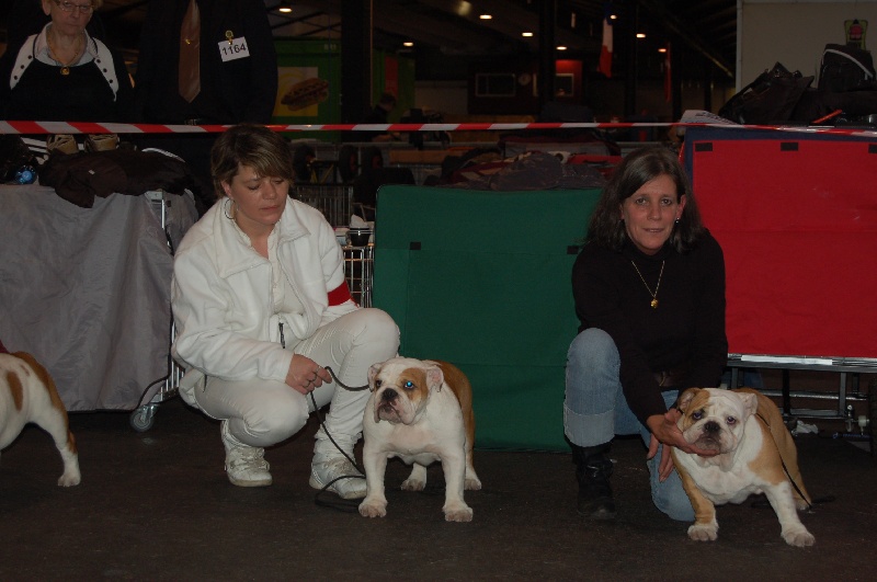 Publication : Tania-bulls