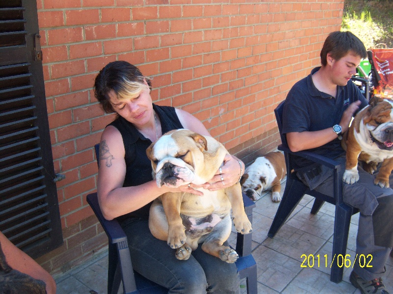 Publication : Tania-bulls Auteur : tania