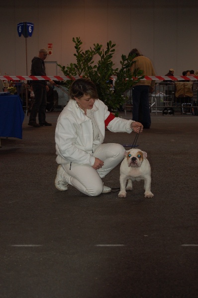 Publication : Tania-bulls