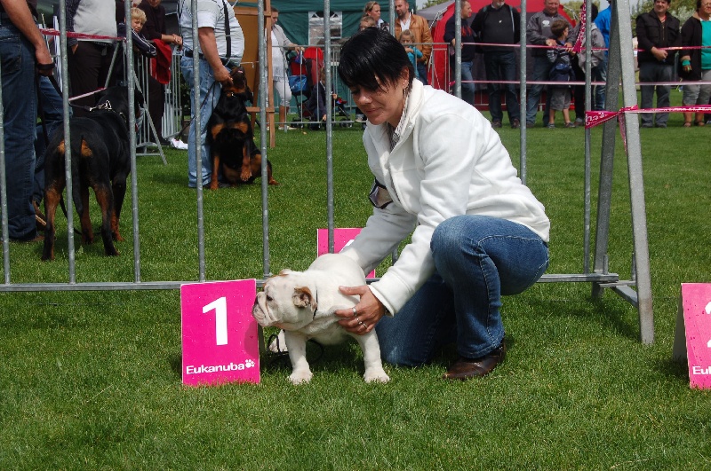 Publication : Tania-bulls Auteur : tania gossens