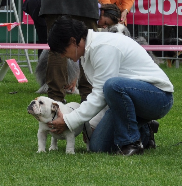 Publication : Tania-bulls Auteur : tania gossens