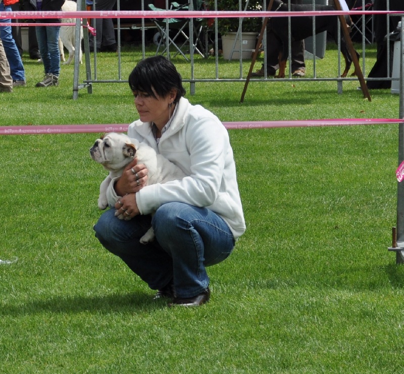 Publication : Tania-bulls Auteur : tania gossens